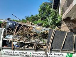 Best Dumpster Rental Services  in Lees Summit, MO